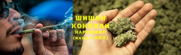 марки lsd Бородино