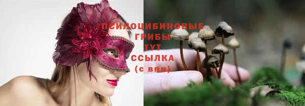 прущие крисы Бугульма