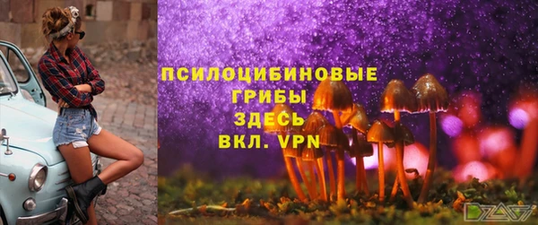 марки lsd Бородино