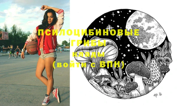 apvp Бронницы