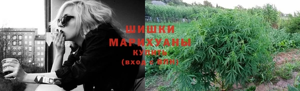 марки lsd Бородино